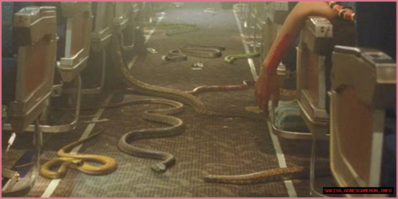 Is 'Plane' Rooted In Reality?